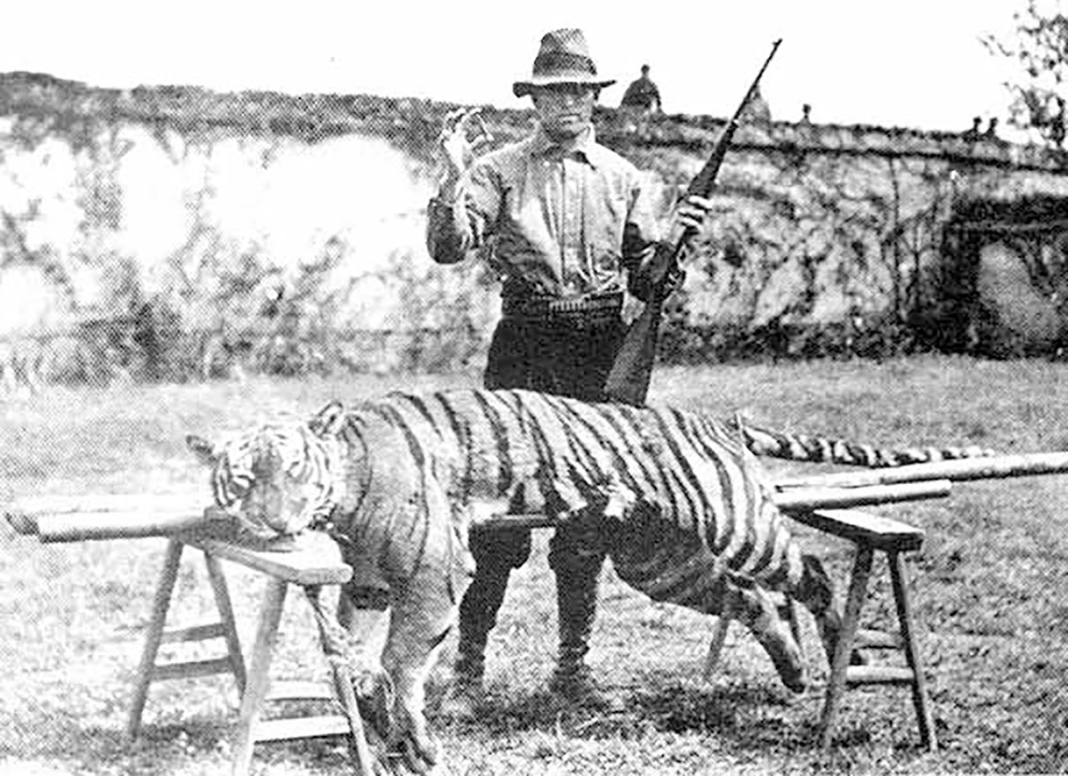 Shown here are Methodist missionary Harry Caldwell and his new Savage Model 99H Featherweight rifle with an Asian tiger taken by him a few hours after the animal had killed and devoured a young boy. This photo appeared in the Savage catalog of 1912, the year the cartridge was officially introduced to the public. The caption read “One shot with the 22 Hi-Power.” It was the first of 40 man-eating tigers Caldwell dispatched with that same rifle at distances ranging from 30 yards to just off the toes of his boots.